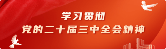 學習貫徹黨的二十屆三中全會精神
